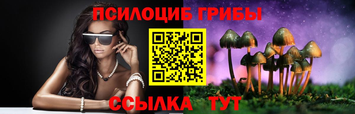 Псилоцибиновые грибы мицелий  Вход с VPN  Псилоцибиновые грибы мицелий  Канаш 
